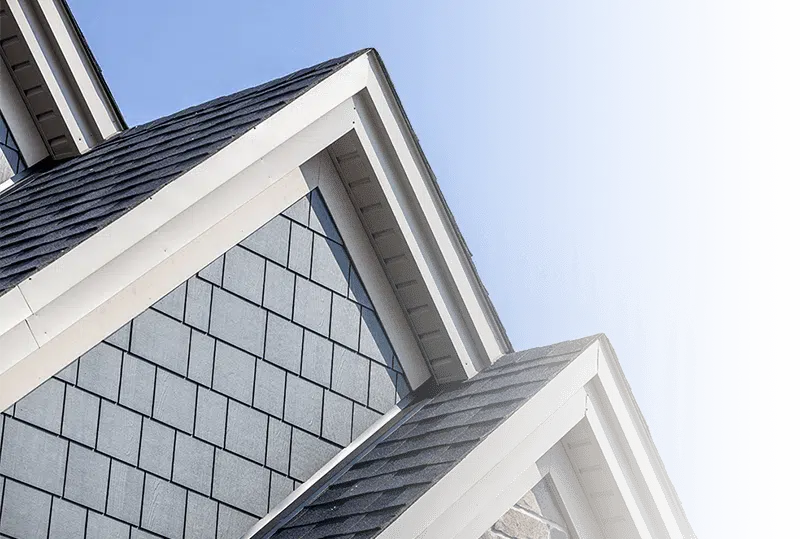 Fascia-Updated Fascia